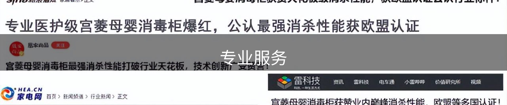 专业服务
